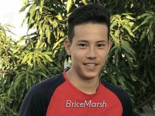 BriceMarsh Le Scandale