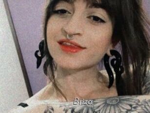 Briza