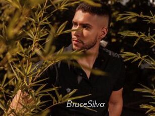 BruceSilva