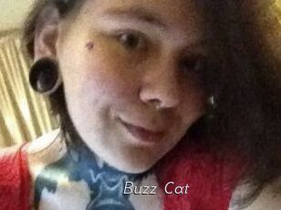Buzz_Cat