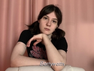 Battywatts