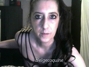 Belgecoquine
