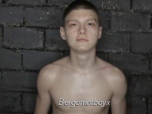 Bergomotboyx