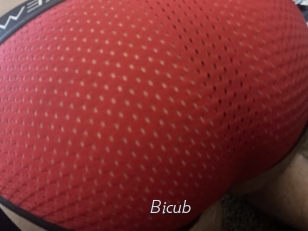 Bicub