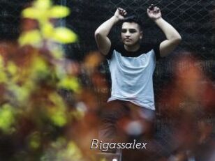 Bigassalex