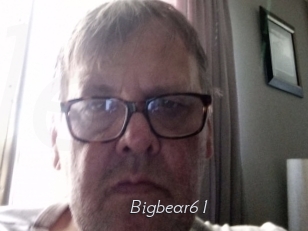 Bigbear61