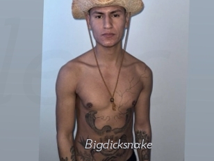 bigdicksnake Le Scandale
