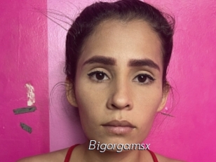 Bigorgamsx