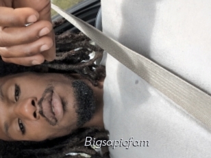 Bigsapiofam