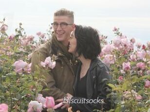 Biscuitsocks