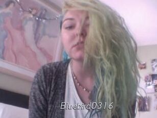 Bluebird0316