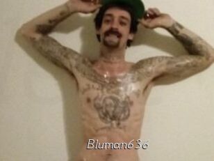 Bluman636