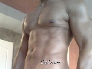 Bodesiles