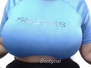 Boobycat