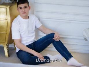 Brandonbud