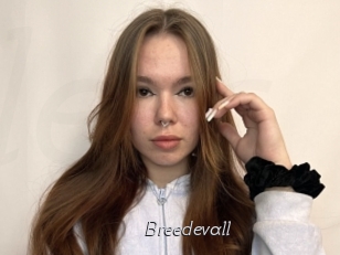 Breedevall