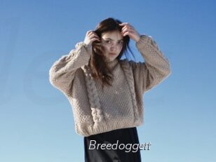 Breedoggett