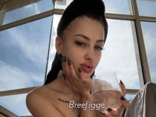 Breefigge