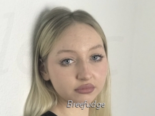 Breefudge