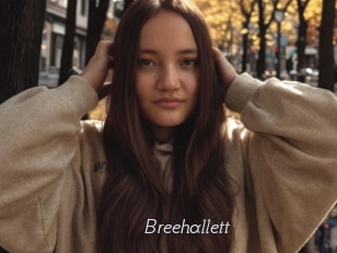Breehallett