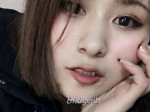 Bridgerils