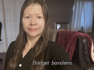 Bridget_banderro