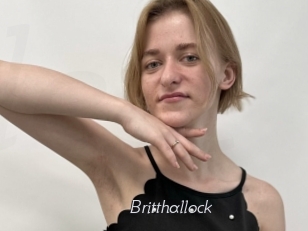 Britthallock