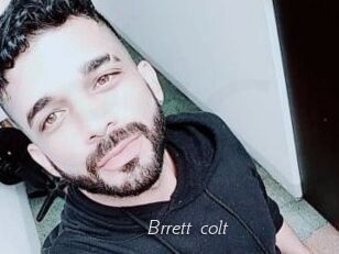 Brrett_colt