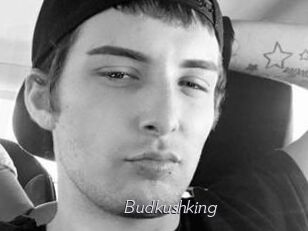 Budkushking