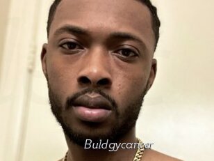 Buldgycancer