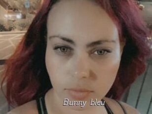 Bunny_bleu