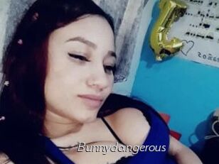 Bunnydangerous