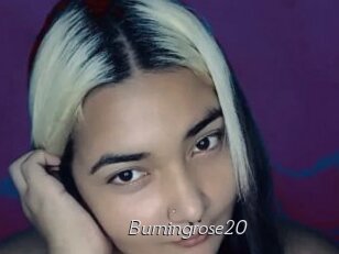 burningrose20 Le Scandale