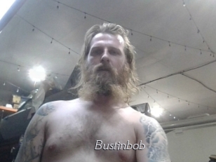 Bustinbob