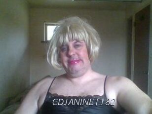 CDJANINE1182