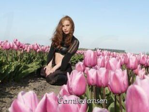 CamileJansen