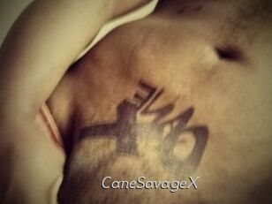CaneSavageX