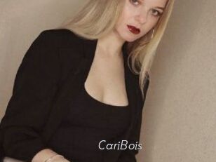 CariBois
