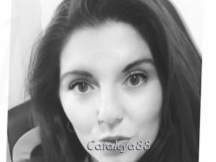 Cataleya88