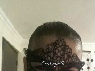 Cattleya_S