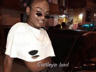 Cattleya_bad