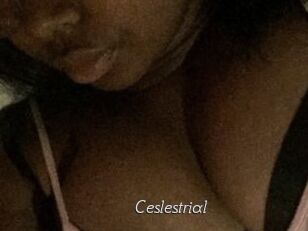 Ceslestrial
