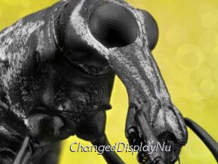 ChangedDisplayNu