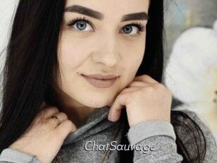 ChatSauvage