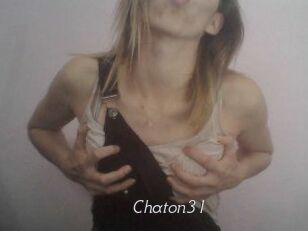 Chaton31