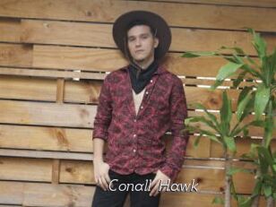 Conall_Hawk