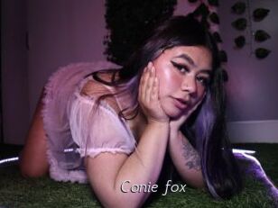 Conie_fox