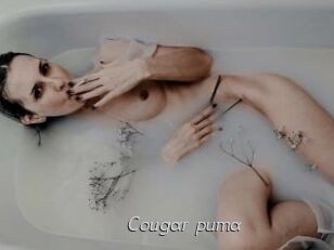 Cougar_puma
