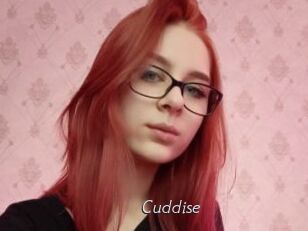 Cuddise