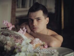 CupidSalvadore